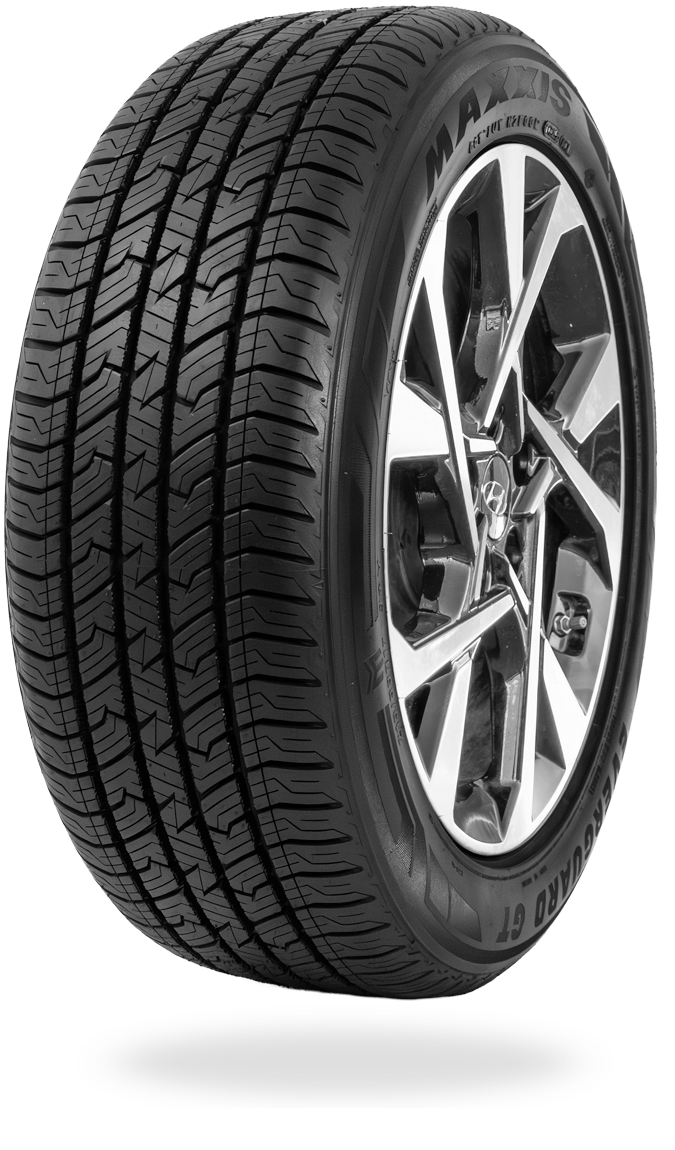 Maxxis ER GT